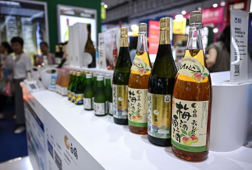 在消博会感受海南自贸港的“国际范”酒类经营